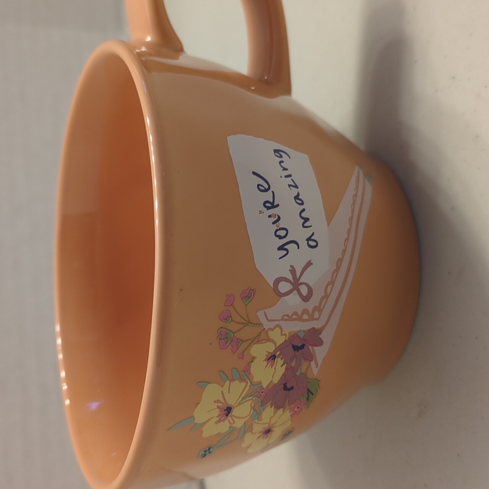 NWOT You're Amazing Mug